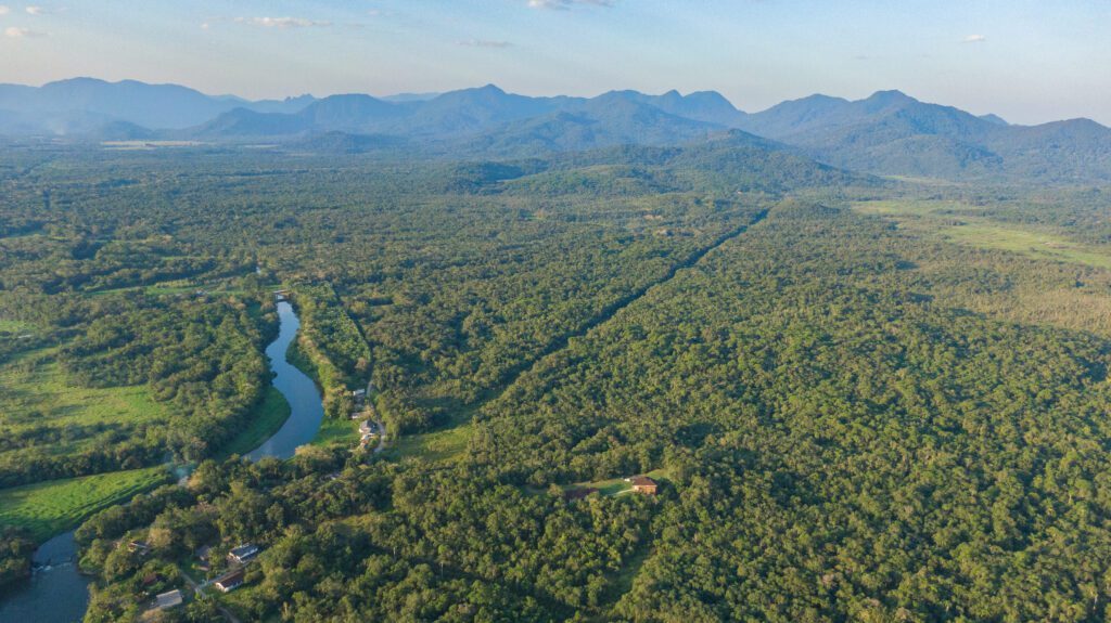Imagem aérea das Reservas Naturais da SPVS